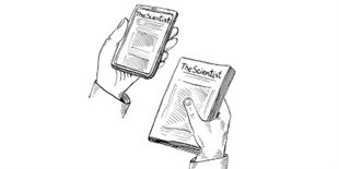 An Evolutionary History