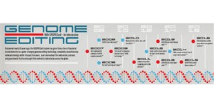 Genome Editing with CRISPR/Cas9