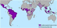 image: Who Is Immune to Zika?