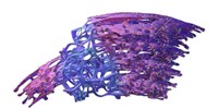 image: Structural Details of Endoplasmic Reticulum Revealed