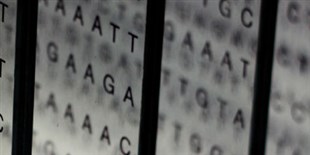 Opinion: Not All Genetic Databases Are Equal