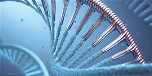 Oligonucleotide Therapeutics Near Approval