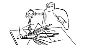 Gene Drives and Other Controversies