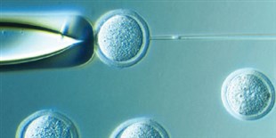 Opinion: Ethical Considerations of “Three-Parent” Babies