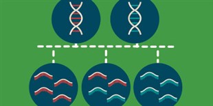 Characterizing the Imprintome