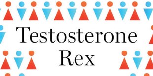 Moving Past the Myth of a Simple Biological Difference Between the Sexes