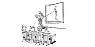 A Walk on the Wild Side