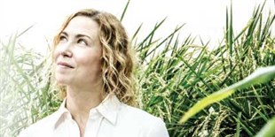 Andrea Eveland Teases Apart Gene Networks in Crop Plants