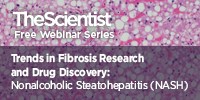 Trends in Fibrosis Research and Drug Discovery: Nonalcoholic Steatohepatitis (NASH)