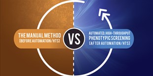 Fast Forward: Accelerating CRISPR Research with Automated HCS