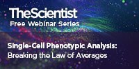Single-Cell Phenotypic Analysis: Breaking the Law of Averages