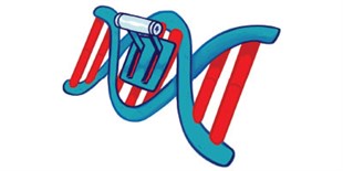 A Selection of CRISPR Proof-of-Principle Studies