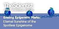 Erasing Epigenetic Marks: Eternal Sunshine of the Spotless Epigenome