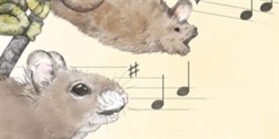 Song Around the Animal Kingdom