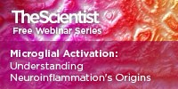 Microglial Activation: Understanding Neuroinflammation\'s Origins