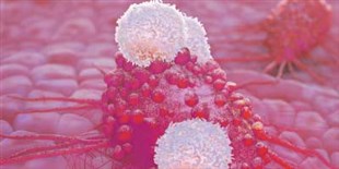 Opinion: More Biomarkers Needed for Cancer Immunotherapy