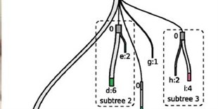 Tracking the Evolutionary History of a Tumor