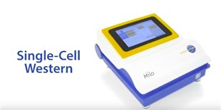 ProteinSimple: Milo: Single-Cell Western