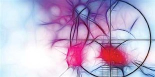 Neoantigens Enable Personalized Cancer Immunotherapy