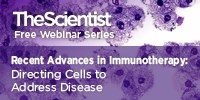 Recent Advances in Immunotherapy: Directing Cells to Address Disease