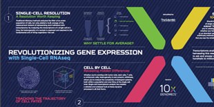 Revolutionizing Gene Expression with Single-Cell RNAseq