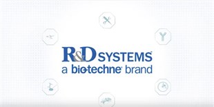 R&D Systems: Custom Services