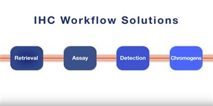 Enzo: Immunohistochemistry Workflow Solutions