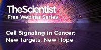 Cell Signaling in Cancer: New Targets, New Hope