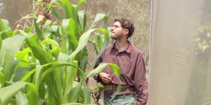 45 Feet High and Rising