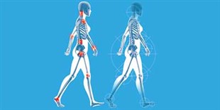 Understanding Body Ownership and Agency