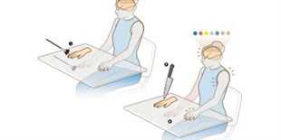 Infographic: The Rubber-Hand Illusion