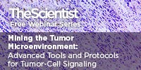 Mining the Tumor Microenvironment: Advanced Tools and Protocols for Tumor-Cell Signaling
