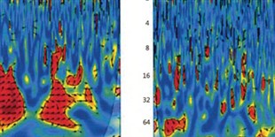 The Search for Methods to Monitor Brain Cooling