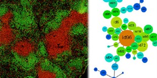 Pinpointing the Culprit