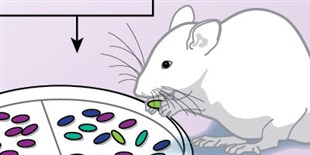 Infographic: Cook Up an Exome-Based Diet