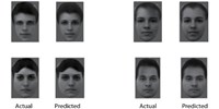 Primates Use Simple Code to Recognize Faces