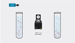 Beckman: Viral Systems in the Laboratory: Producing and Purifying