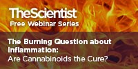 The Burning Question About Inflammation: Are Cannabinoids the Cure?