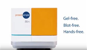 ProteinSimple: Protein Characterization Made Easy