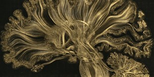 Image of the Day: Gold Matter