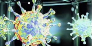 Beckman: Viral Preparation & Purification