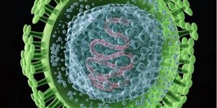 Beckman: Virus Particle Density