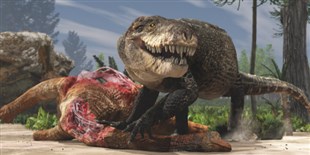 Image of the Day: Messy Eater