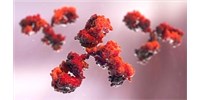 Glythera and IONTAS enter into license agreement for the development of multiple antibodies for next-generation Antibody Drug Conjugates image: Glythera and IONTAS enter into license agreement for the development of multiple antibodies for next-generation Antibody Drug Conjugates
