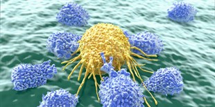 Cancers Relapse by Feeding Off Immune Signals