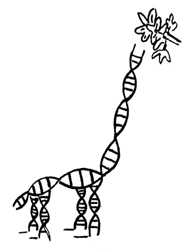 Epigenetics and Society image: Epigenetics and Society