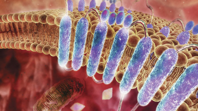 An Insoluble Problem? image: An Insoluble Problem?