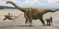 image: One Hip Dino