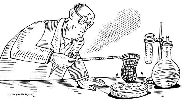 Lobster-Pot Science image: Lobster-Pot Science