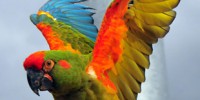 image: Lasers of a feather light better